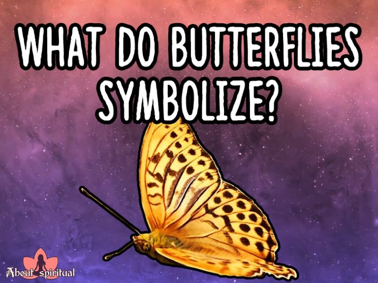 Butterfly spiritual meaning
