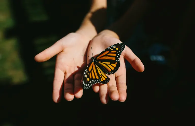 butterfly spiritua; meaning
