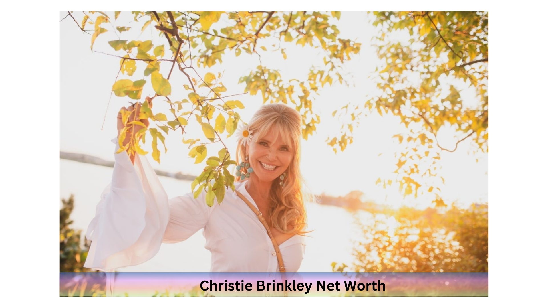 Christie Brinkley Net Worth