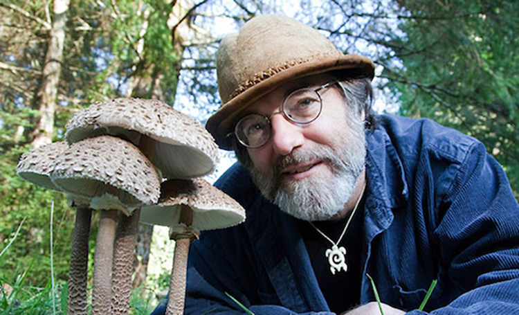 Portobello Mushrooms Joe Rogan Podcast 