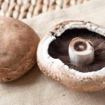 Portobello Mushrooms Joe Rogan Podcast feature image