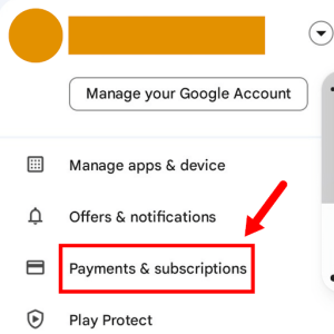 Payment and Subscription
