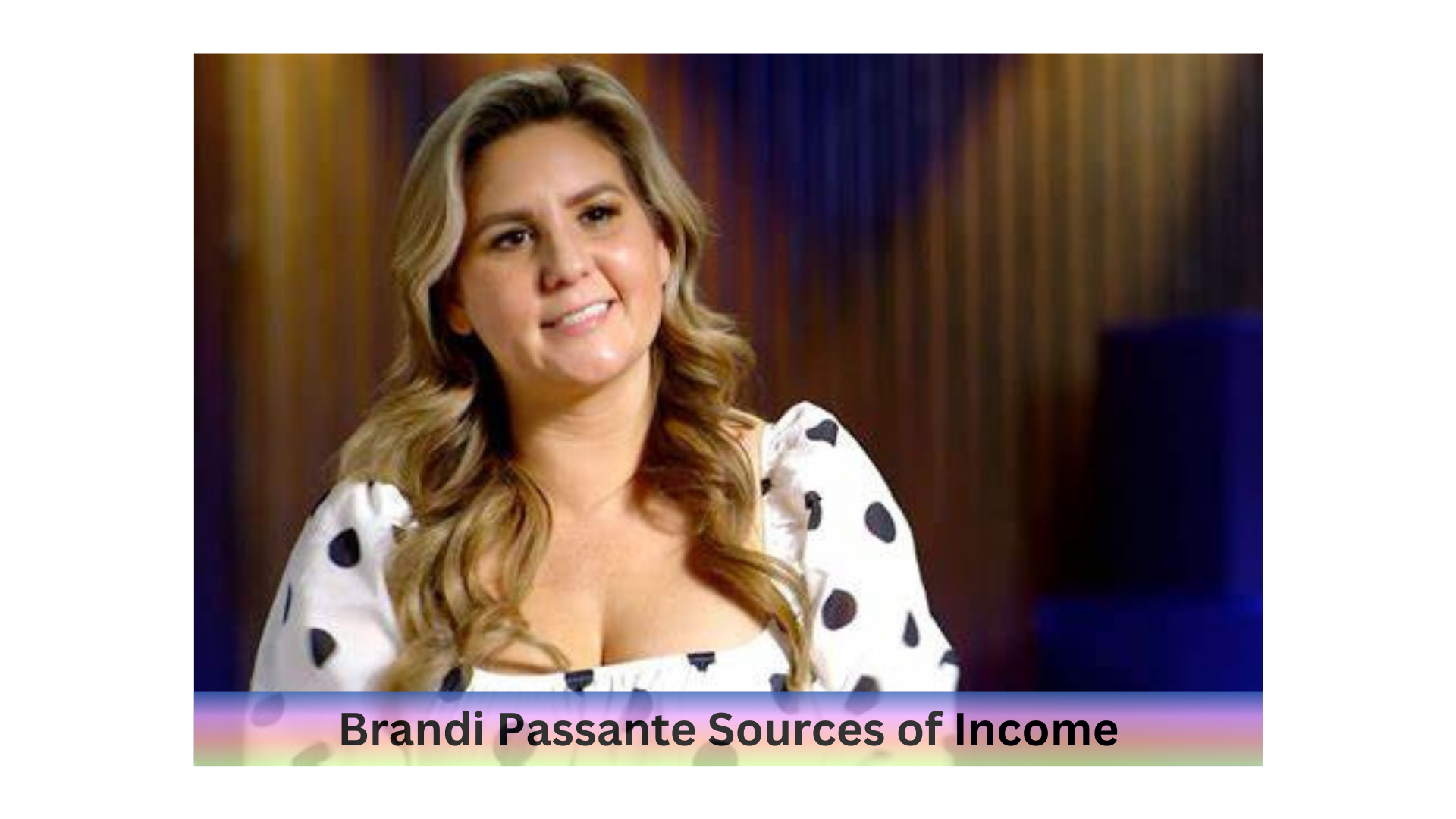 Sources of Income Brandi Passante
