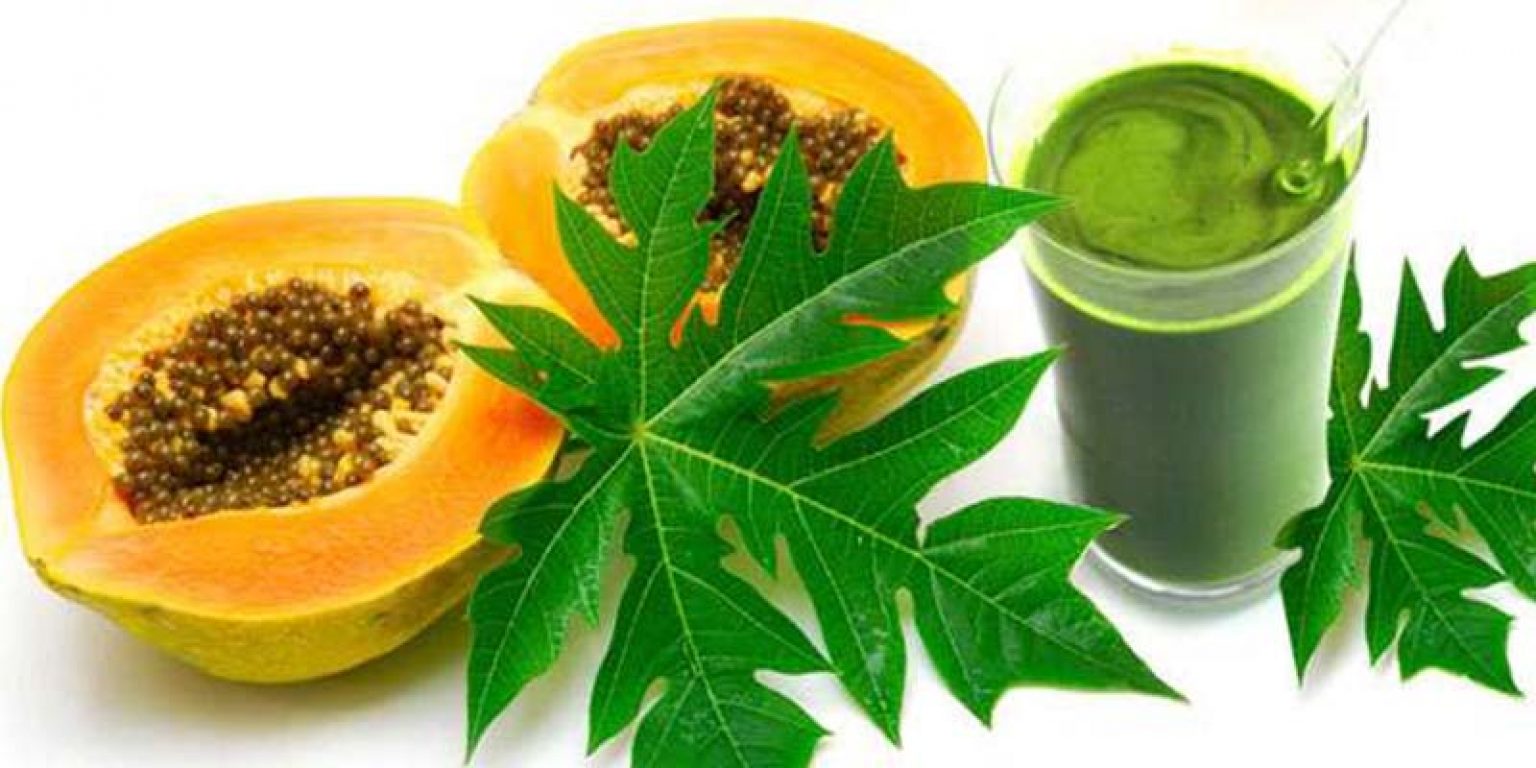 Papaya leaves juice 